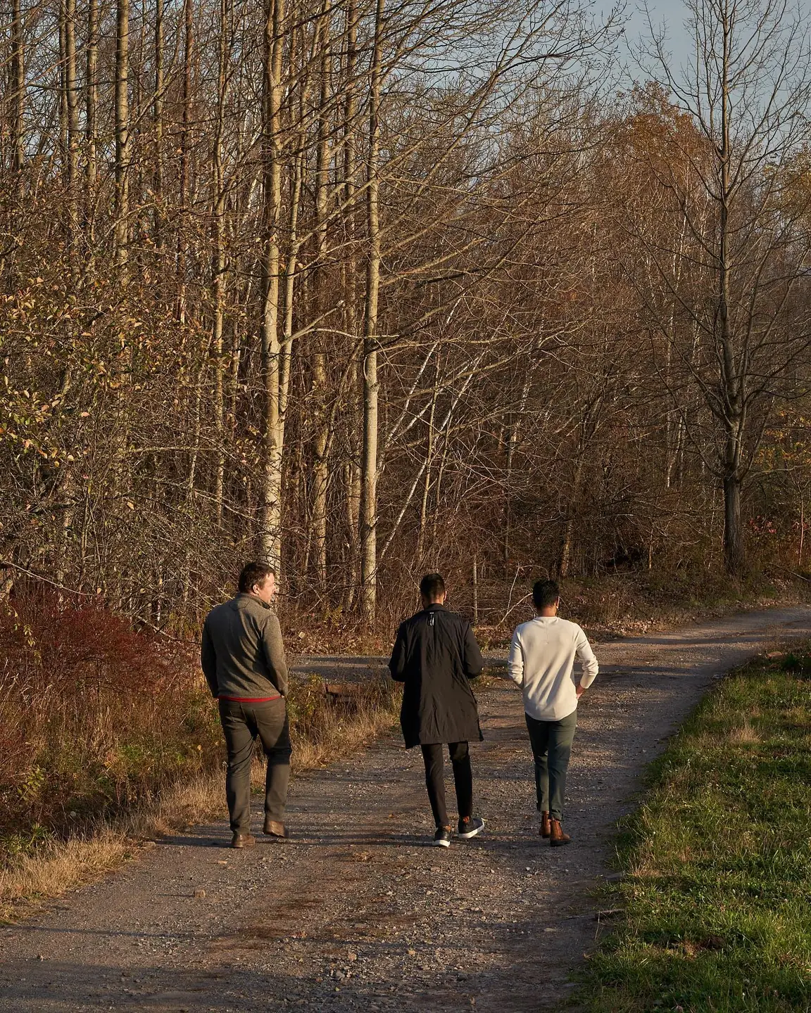 Three people walking a path through autumn woods, seen from behind