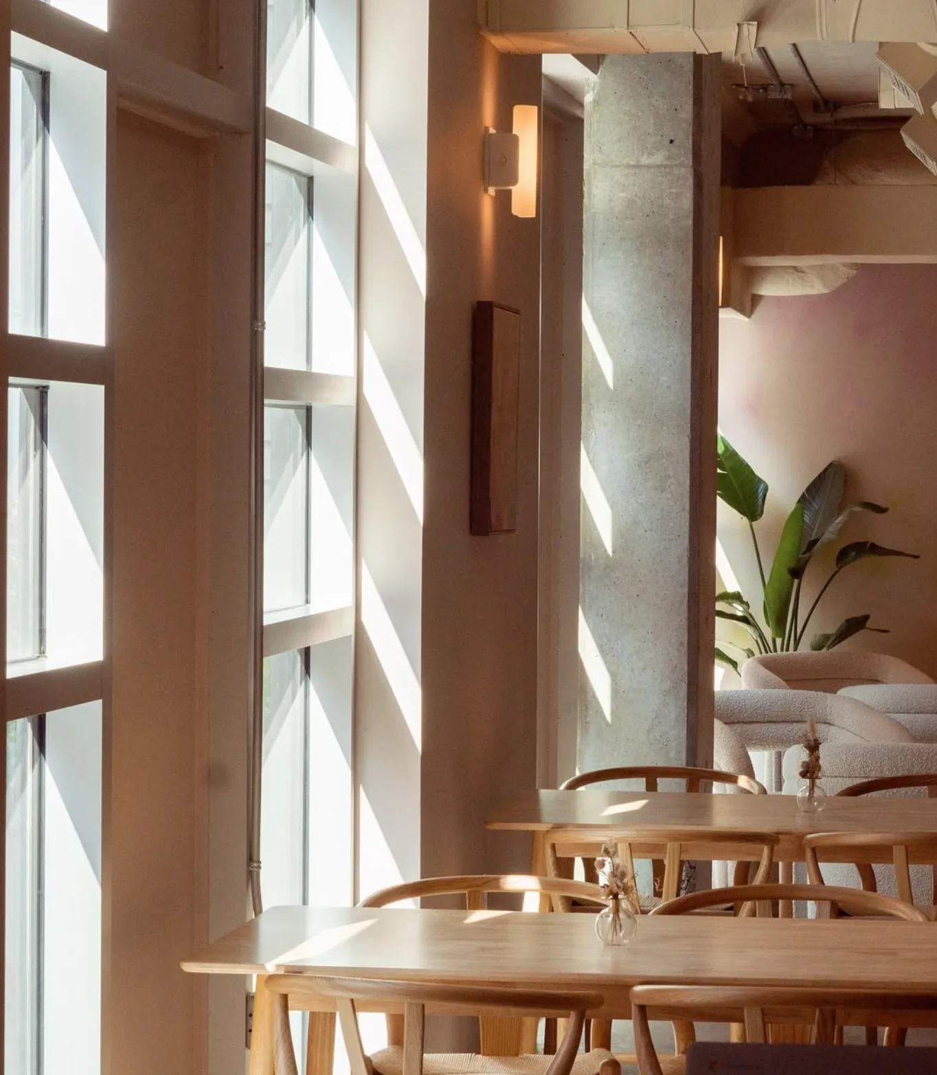 Morning light across an empty dining room